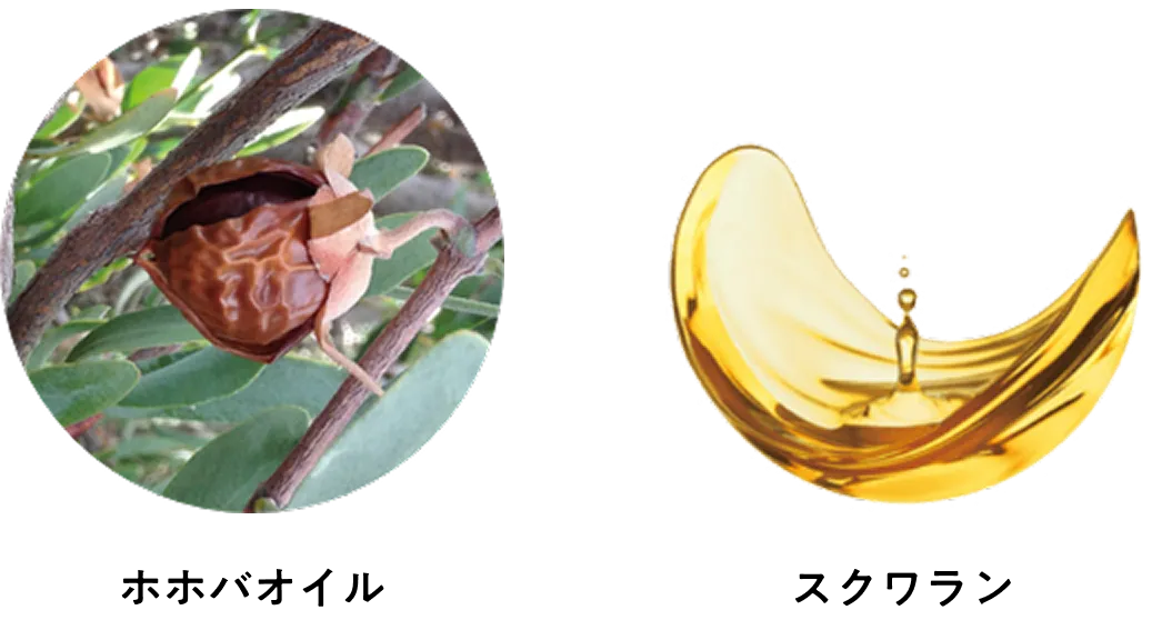 Point2 2つの美容オイルin!しっとりなめらか密着