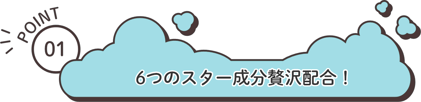 POINT1：6つのスター成分贅沢配合！