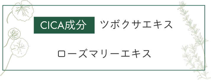 CICA成分:ツボクサエキス、ローズマリーエキス