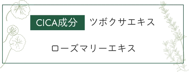 CICA成分:ツボクサエキス、ローズマリーエキス