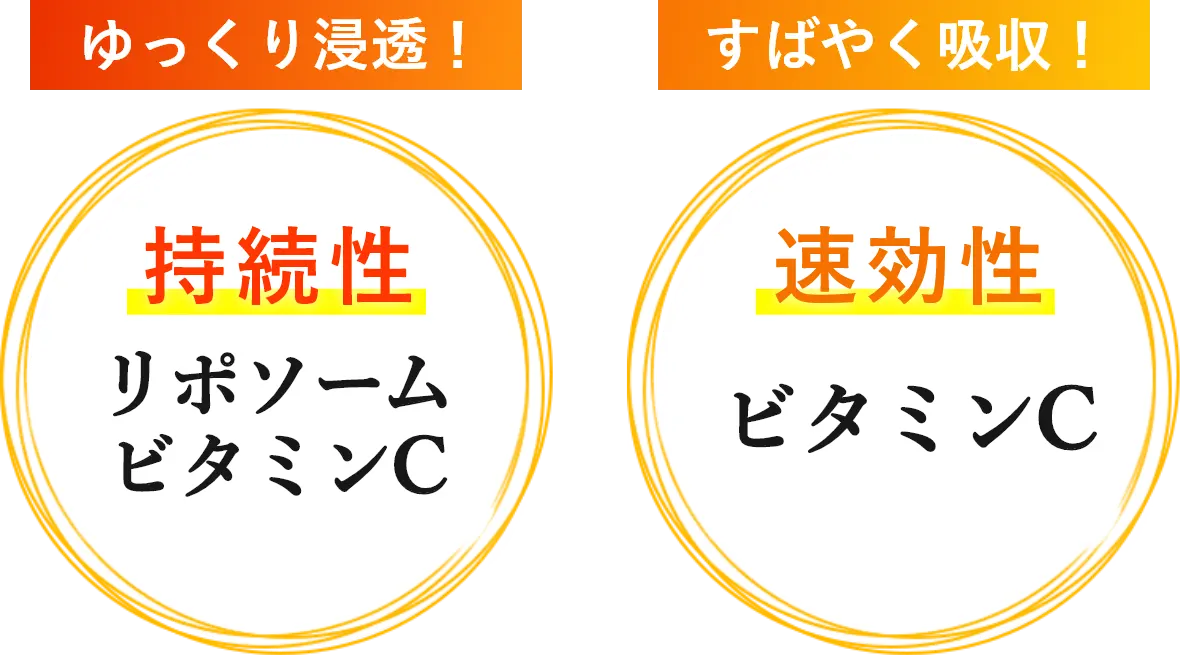 ゆっくり浸透/持続性：リポソームビタミンC｜すばやく吸収！/速効性：ビタミンC